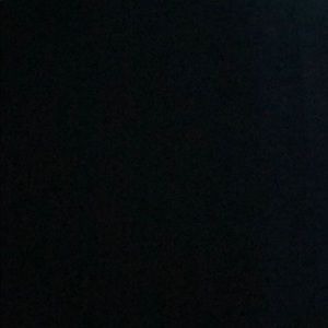 Meet your Posher, Griffin